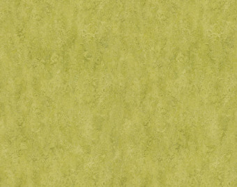[100111111_22] Marmoleum Real - 3224/322435 chartreuse